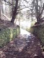 Bridge of Allan Glen Road - Wharry Burn Bridge