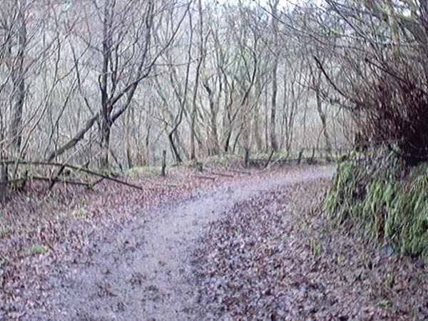 Bridge of Allan Glen Road image