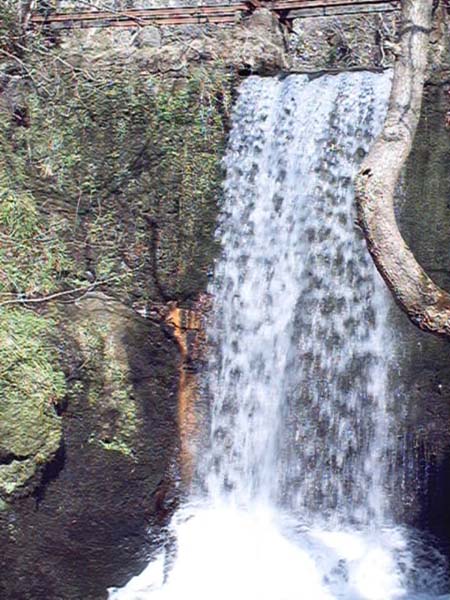 alva glen near stirling photograph