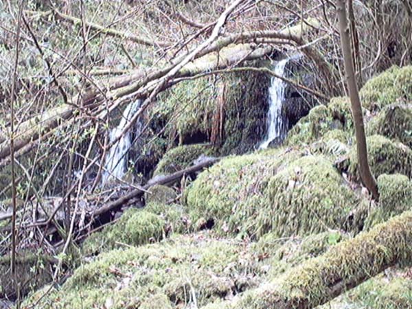 baston  burn  and  touch  glen near stirling waterfall photograph