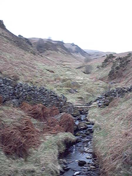 baston  burn  and  touch  glen near stirling photograph 2