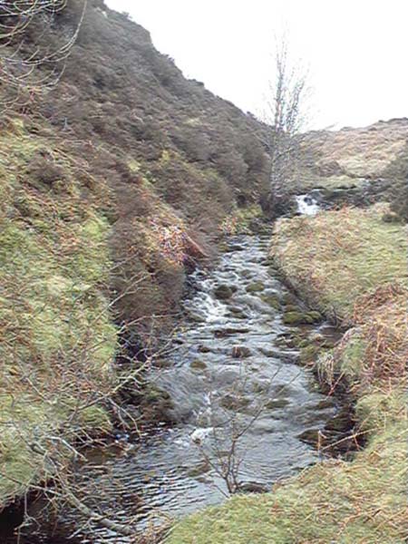 baston  burn  and  touch  glen near stirling photograph 3