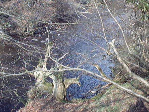 Bridge of Allan Glen Road river allan photograph