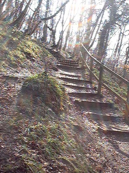 Bridge of Allan Glen Road stairs photograph