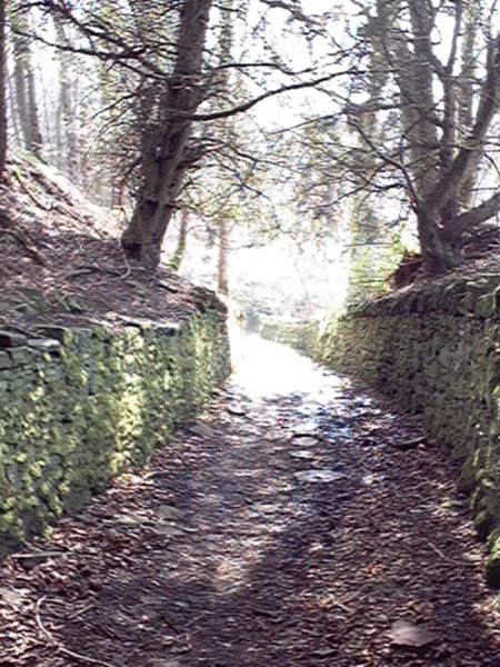 Bridge of Allan Glen Road path photograph