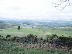 bridge of allan mine wood walk golf course image