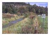 footpath to Abbey Craig