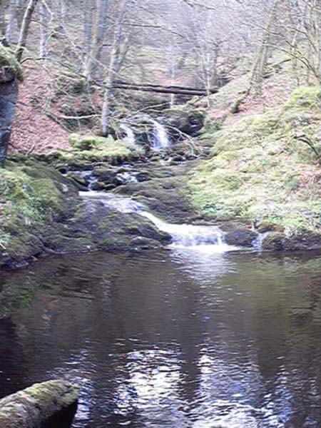 touch, Cambusbarron near Stirling pool image