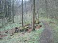 Bridge of Allan Mine Woods