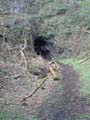 Bridge of Allan Mine Woods disused Coppermine