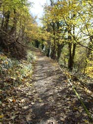 Stirling castle back walk image